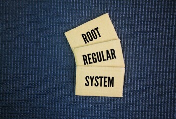 In Linux, there are three main types of user accounts: root, regular, and system. The root user has full administrative privileges, while regular users have limited access for day-to-day tasks.