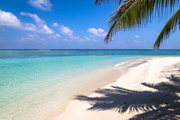Tropical beach in the Maldives with clear turquoise water, white sand, and palm shadows under bright daylight using landscape photography technique.