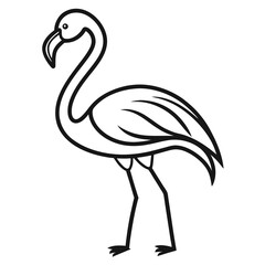 Flamingo vector illustration