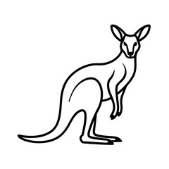 Kangaroo vector illustration