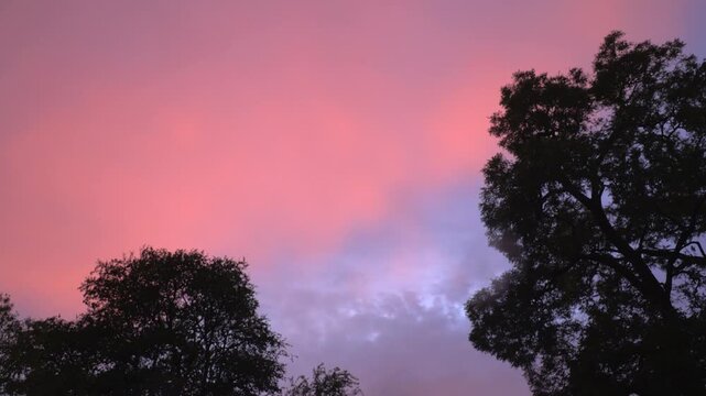 Beautiful Sky with trees in the background 