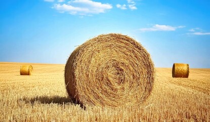 A large round bale of hay is lying in the middle, surrounded by cut grain fields. The photo was taken from behind and shows two more straw bales standing next to it.