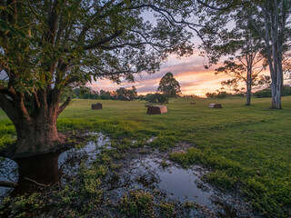 Sunset Over Field After Rain