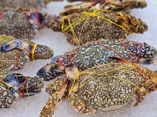 Close up of fresh frozen crab on ice in supermarket. Raw and fresh seafood on the ice.