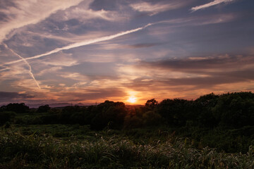 空を赤く染めて沈む夕日