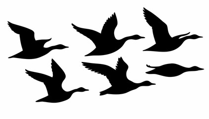 Obraz premium Silhouette illustration of a flock of ducks in flight against a white background in a simple style