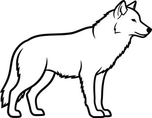 Obraz premium Vector art of an outline drawing of a wolf standing isolated on transparent background