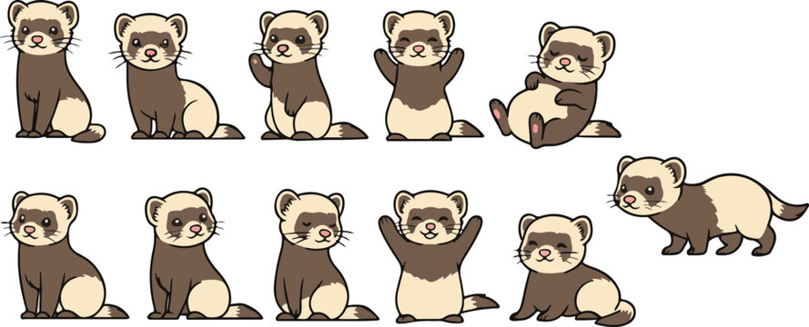 vector illustration of ferret weasel civet funny cute cartoon mascot character cartoon with 11 poses 