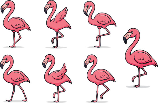 vector illustration of flamingo funny cute cartoon mascot character cartoon with 7 poses 