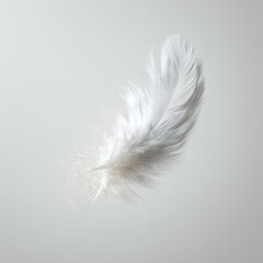 Obraz premium Floating White Feather With Silver Glitter