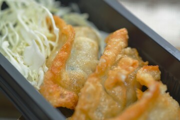Macro shot of Japanese fried dumpling fresh from the pan