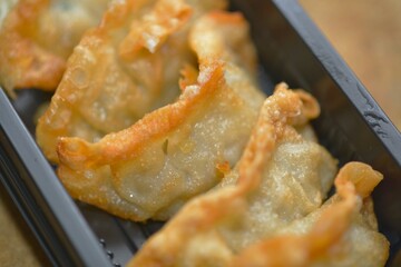 Macro close-up of Japanese fried gyoza crisp details