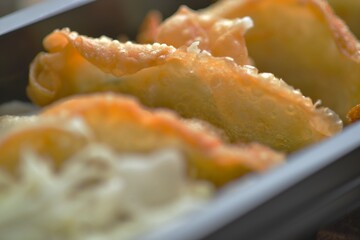 Macro fried gyoza details