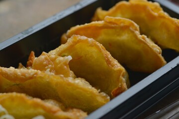 Crunchy gyoza surface texture