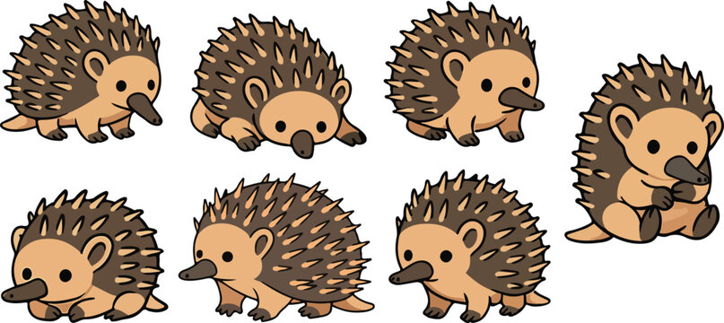 vector illustration of echidna hedgehog porcupine funny cute cartoon mascot character cartoon with 7 poses 02