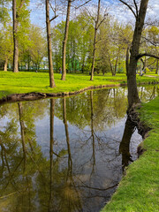 Beautiful summer landscapes in one of the parks in Minsk,