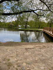 Beautiful summer landscapes in one of the parks in Minsk,