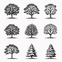 Obraz premium Collection of nine hand drawn black and white tree illustrations on white background nature drawing