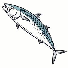 Mackerel  fish vector illustration perfect for posters, icon, t-shirts, cards, wall art prints and ai design.