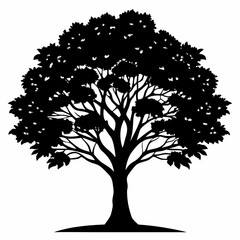 Elegant Tree Silhouette Graphic