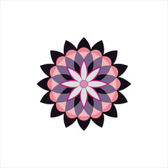 Fototapeta premium Abstract pink lotus flower vector illustration with a colorful floral design