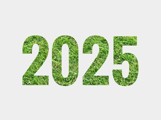 2025 text design with grass textured isolated on white background