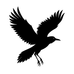 Fototapeta premium Black Bird in Flight Design