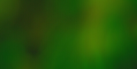 Explore an Eclectic and Expressive Painted Dreamscape: A Vivid Tapestry of Colors and Abstract Forms