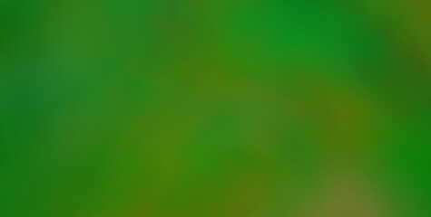 Explore an Eclectic and Expressive Painted Dreamscape: A Vivid Tapestry of Colors and Abstract Forms