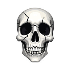 Obraz premium Realistic human skull with dark empty eye sockets