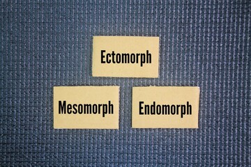 The three main body types, also known as somatotypes, are ectomorph, mesomorph, and endomorph....