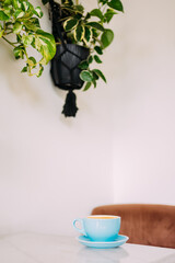 Blue cappuccino cup on table with plants