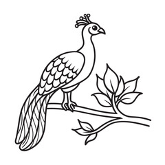 Naklejka premium peacock sitting on a branch kids for colouring page