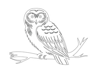 Fototapeta premium Perched Owl Line Art Silhouette on Branch Illustration