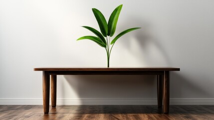 Minimalist interior design featuring a wooden table and a plant against a white wall
