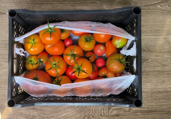 organic tomatoes in a basket 