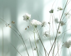 Delicate White Flowers With Soft Light And Shadowy Branches