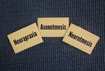 The three main types of nerve injury are neurapraxia, axonotmesis, and neurotmesis word. classified by their severity and impact on nerve structure.