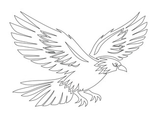 Flying Bird line art with Spread Wings Illustration