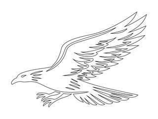 Flying Bird line art with Spread Wings Illustration