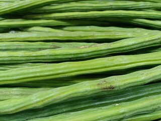 Fresh moringa pods stacked closely on a market display in the afternoon sunshine, showcasing...