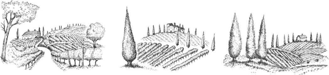 Vineyard landscape field with winery house or farm building in vintage engraved style. Hand drawn monochrome vector illustration.