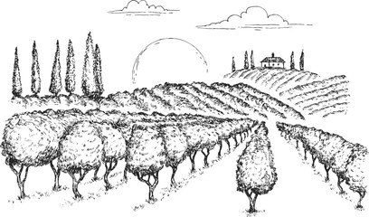 Vineyard landscape field with winery house or farm building in vintage engraved style. Hand drawn monochrome vector illustration.