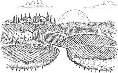 Vineyard landscape field with winery house or farm building in vintage engraved style. Hand drawn monochrome vector illustration.