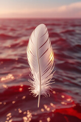 red feather on the beach