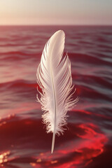 feather on the beach