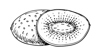 Fine contour sketch of a kiwi cut in half, seeds radiating outward, 1 pt stroke, blank backdrop.

