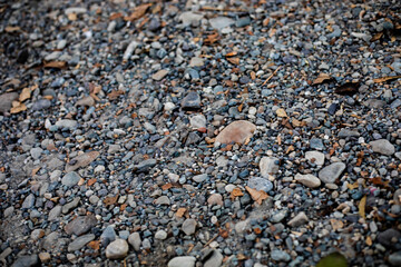 Natural Gravel Texture Background