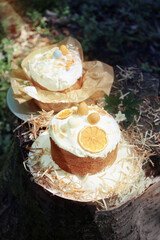 easter cakes in sunlight outdoor