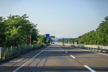 Serene Forest Road on a Sunny Day, Hokkaido, Japan